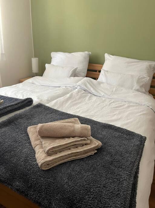 Priestranny 3 Izb. Apartman V Centre S Parkovanim. Banská Bystrica Exteriör bild