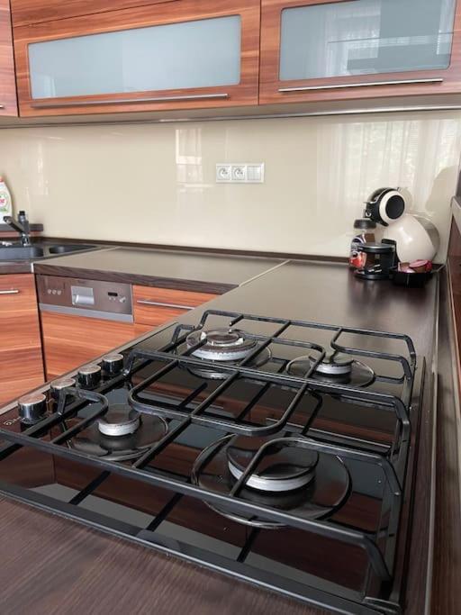 Priestranny 3 Izb. Apartman V Centre S Parkovanim. Banská Bystrica Exteriör bild