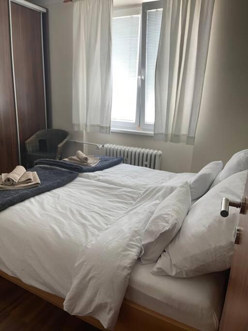 Priestranny 3 Izb. Apartman V Centre S Parkovanim. Lägenhet Banská Bystrica Exteriör bild