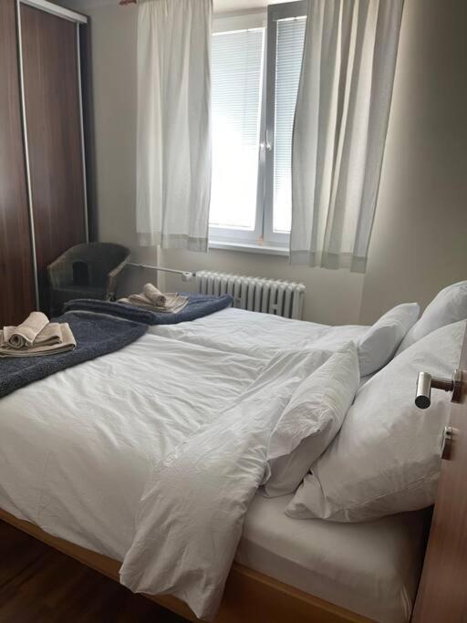 Priestranny 3 Izb. Apartman V Centre S Parkovanim. Banská Bystrica Exteriör bild
